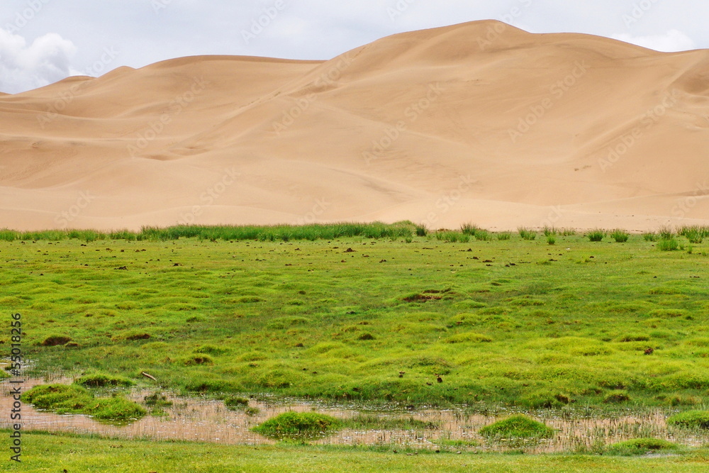 Fototapeta premium The Gobi Desert, Mongolia