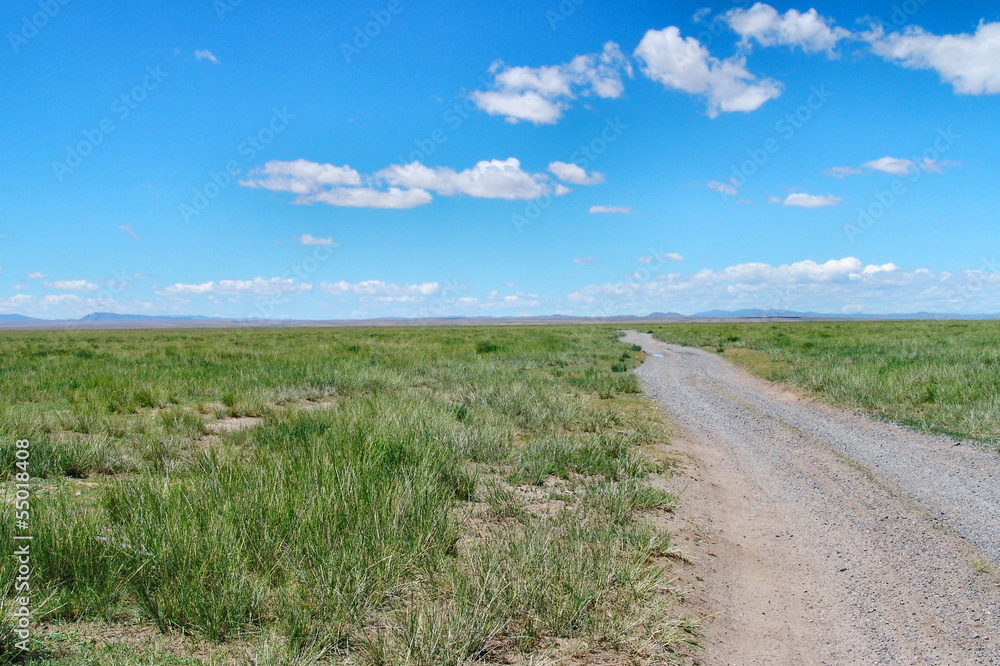 Mongolian wild landscape