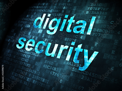 Privacy concept: Digital Security on digital background