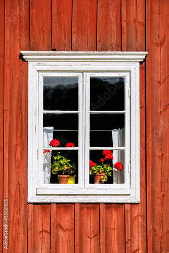 White window with red flowers