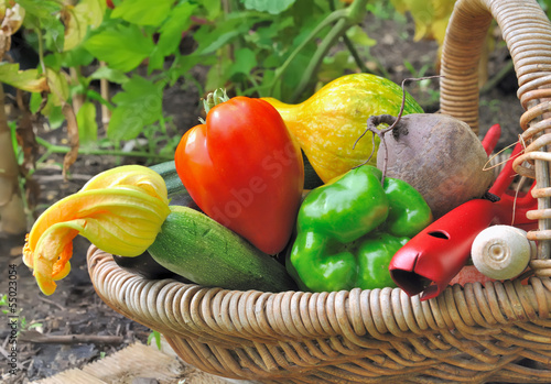 légumes d'été