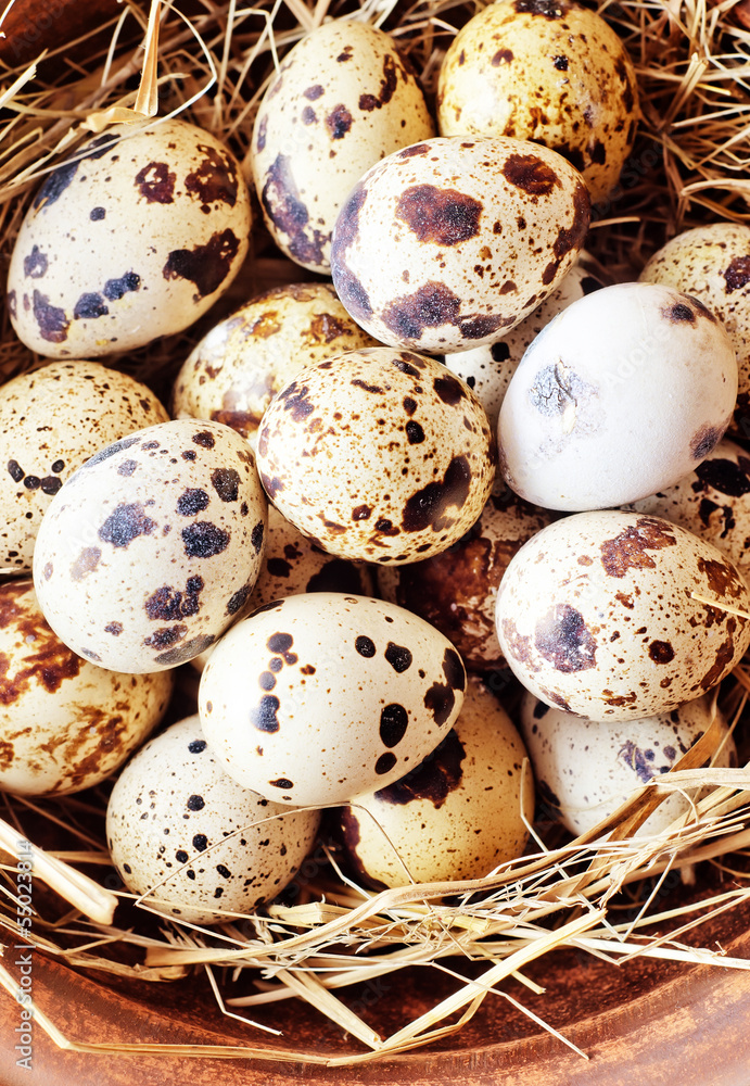 raw guail eggs raw guail eggs
