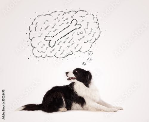 Border collie with thought bubble thinking about a bone