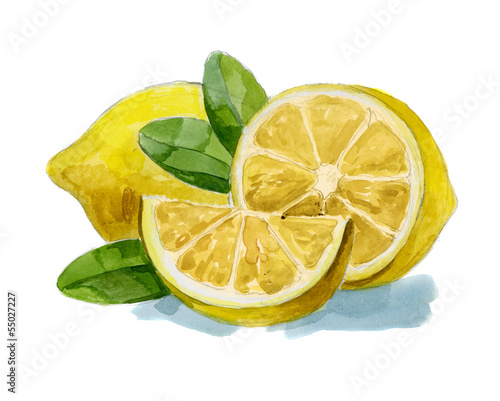 watercolor hand drawn lemon