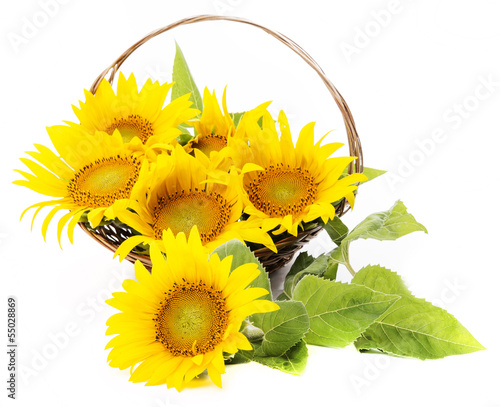 bouquet of sunflowers in a basket