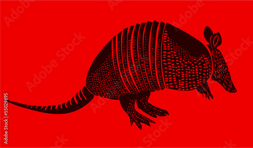 Armadillo