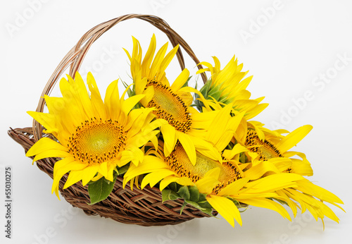 Fototapeta Naklejka Na Ścianę i Meble -  a bouquet of sunflowers in a basket