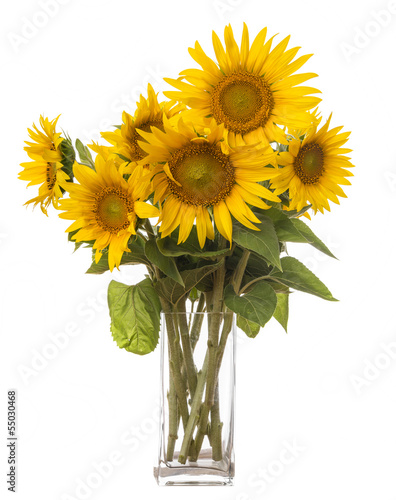 Fototapeta Naklejka Na Ścianę i Meble -  a big bunch of sunflowers in a vase