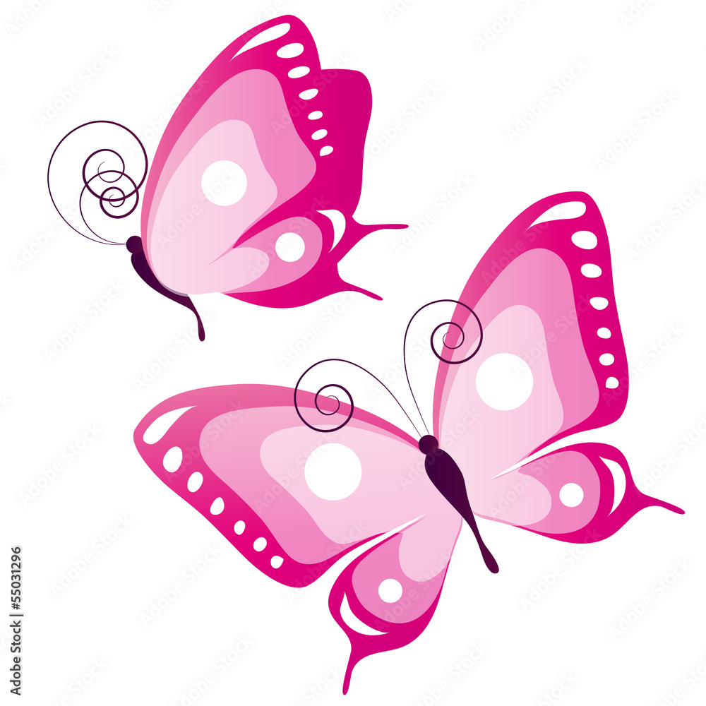 butterflies design butterflies design
