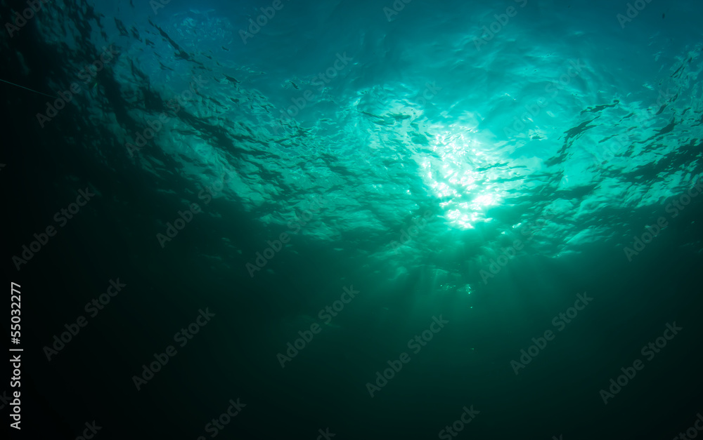 what underwater landscape looks like