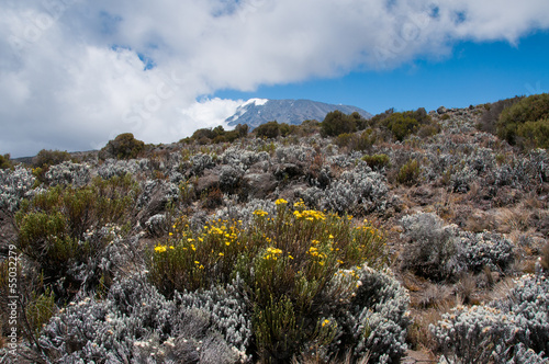Fotografie Kilimanjaro from lower slopes