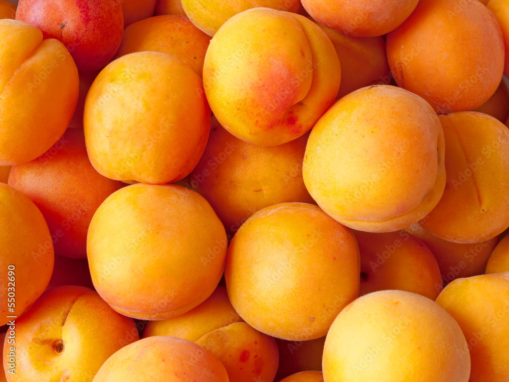 Fresh ripe apricots