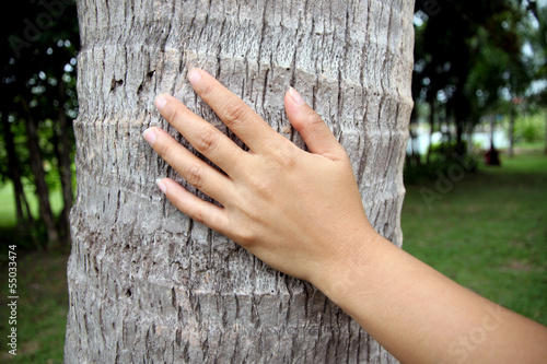 Hand touch coconut.