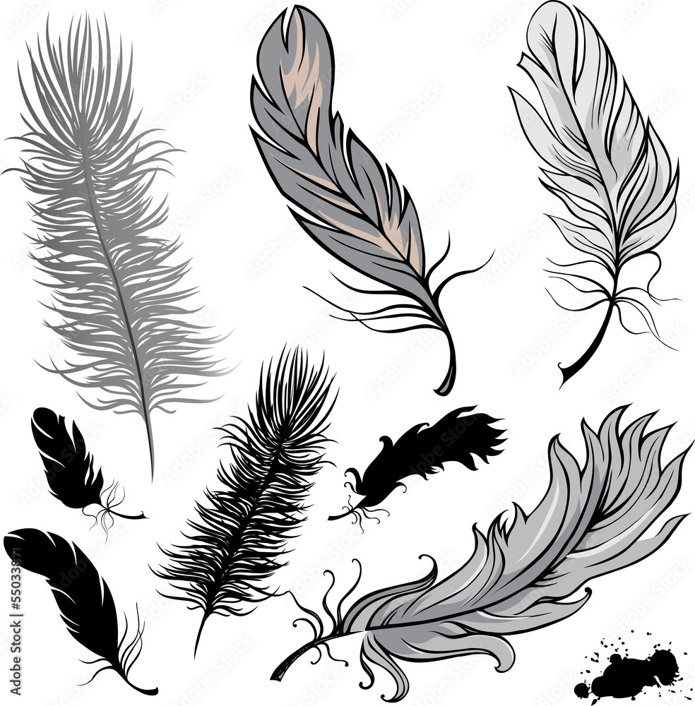 Obraz premium Set of illustration feathers