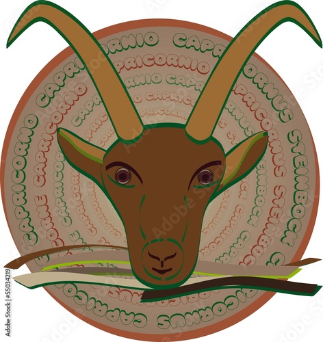 Horoskop_Steinbock