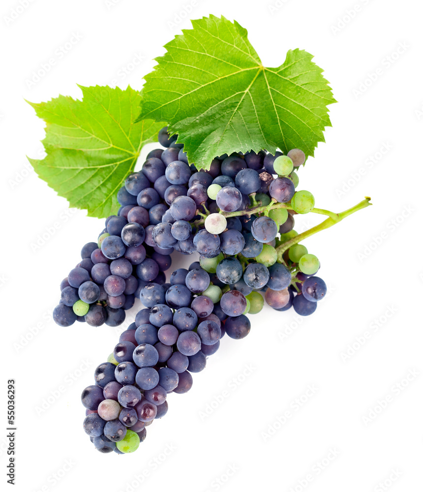Obraz premium fresh grapes wine with green leawes isolated on white background