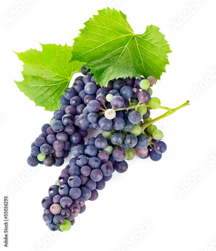 fresh grapes wine with green leawes isolated on white background