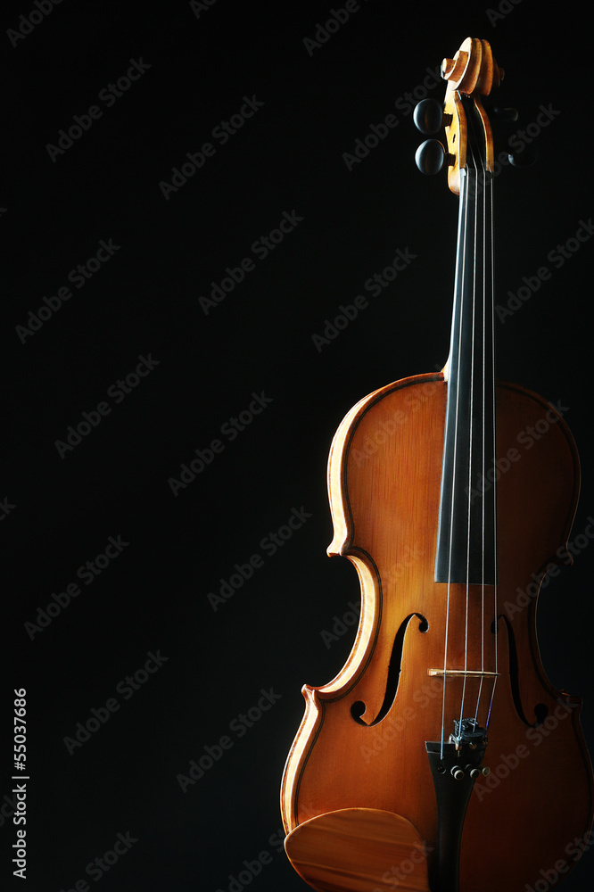 Violin orchestra musical instruments Violin orchestra musical instruments