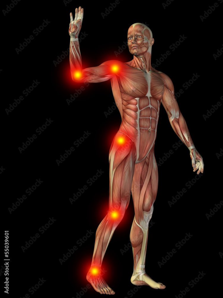 3D human man anatomy with articular pain 3D human man anatomy with articular pain