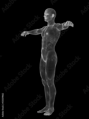 3D wireframe mesh human man anatomy