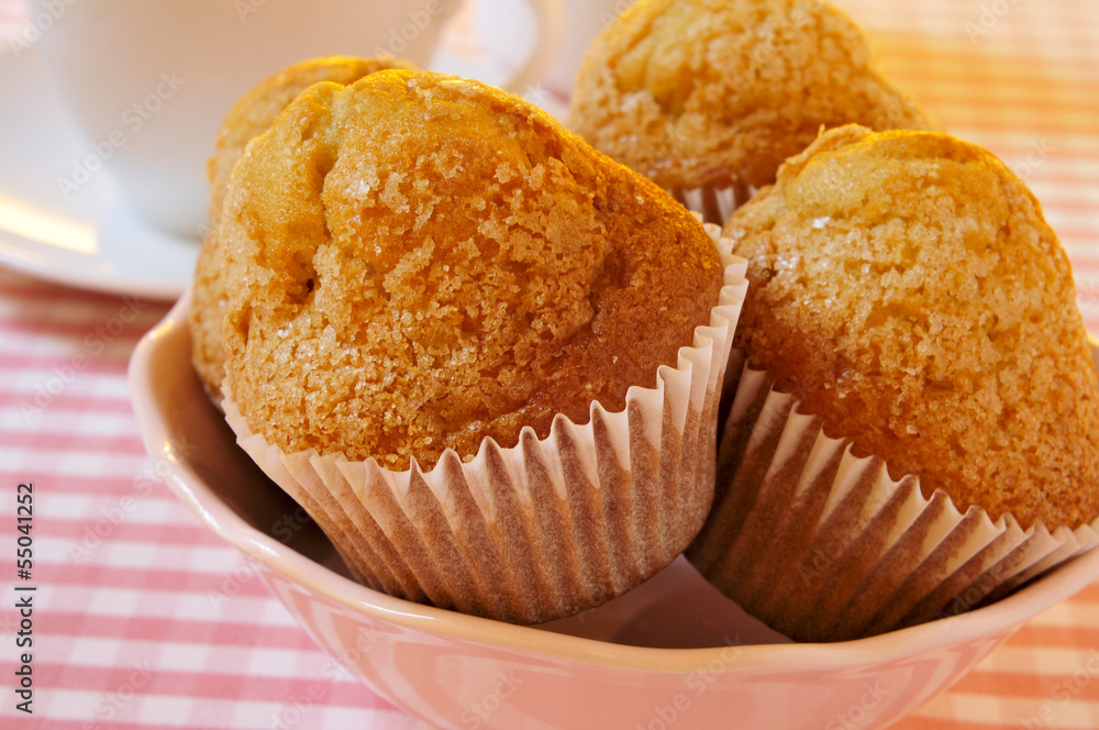 magdalenas, typical spanish plain muffins magdalenas, typical spanish plain muffins