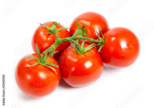 Closeup of tomatoes on the vine isolated on white. Tomato branch © EwaStudio