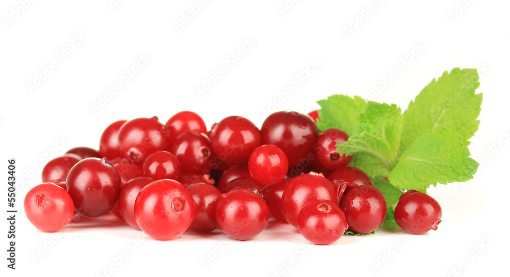 Ripe red cranberries, isolated on white. Ripe red cranberries, isolated on white.