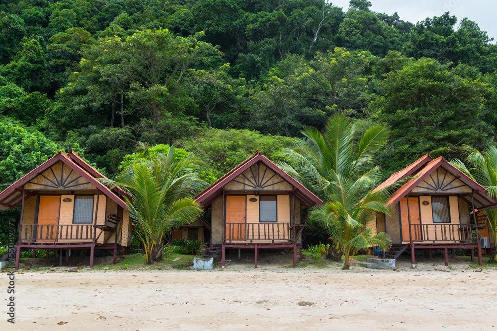 Coconut palm trees along the beach resort