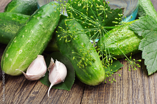 Fresh cucumbers for pickling