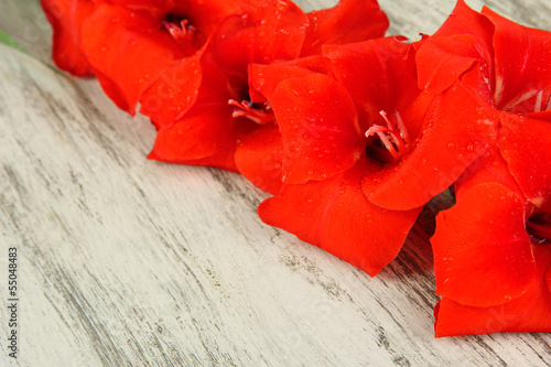 Fototapeta Naklejka Na Ścianę i Meble -  Beautiful gladiolus flower on wooden background