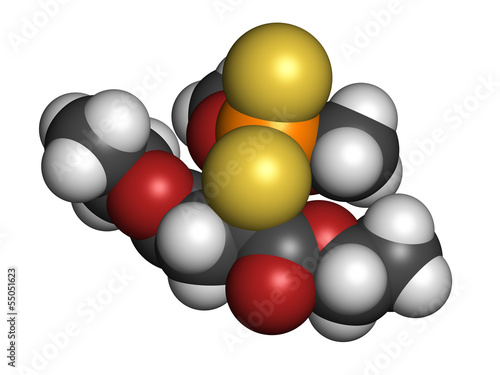 Malathion insecticide, chemical structure. photo