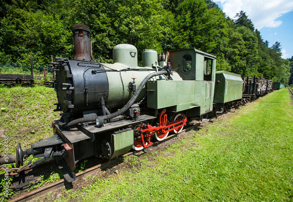 Narrow-gauge railway, steam train in Cisna, Poland