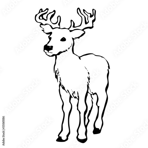 Hirsch Silhouette Vektor