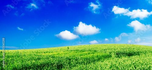 meadow and blue sky © Serghei V
