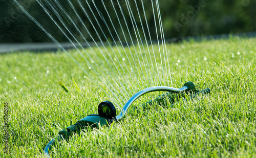 water sprinkler on grass