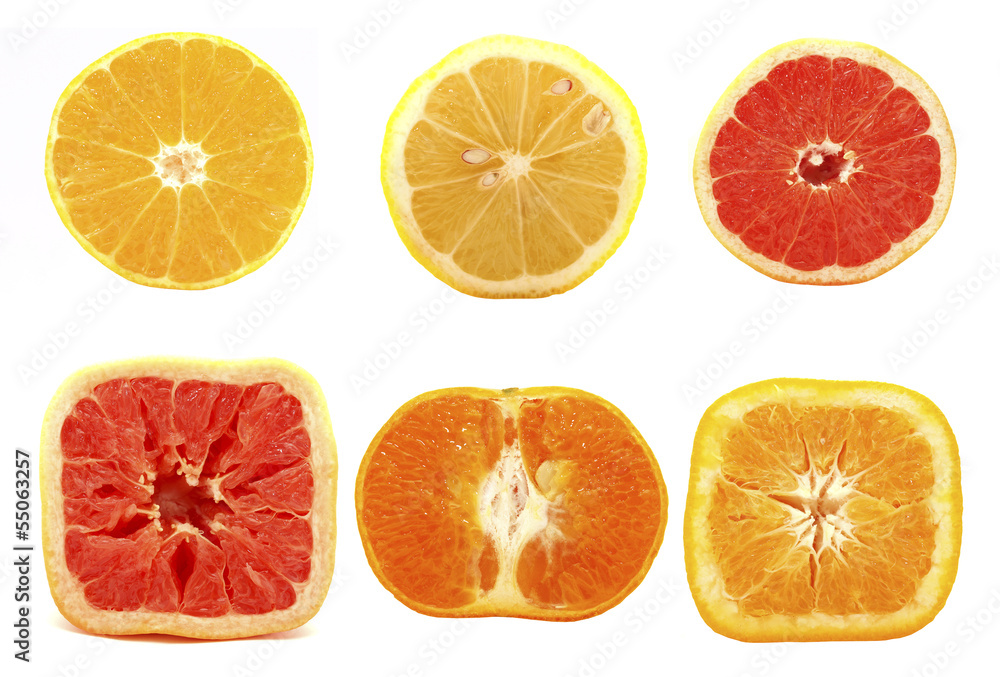 Fototapeta premium Citrus fruits on a white background. Set