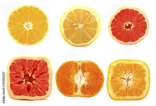 Citrus fruits on a white background. Set