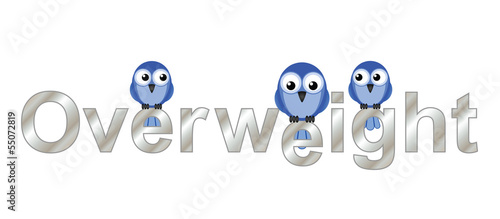 Overweight text and comical fat bird