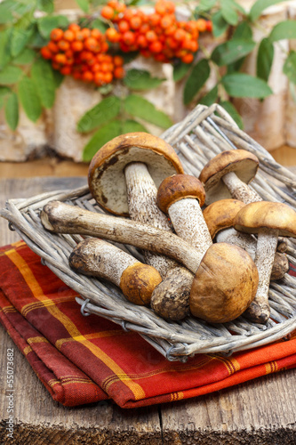 Basket of mushrooms