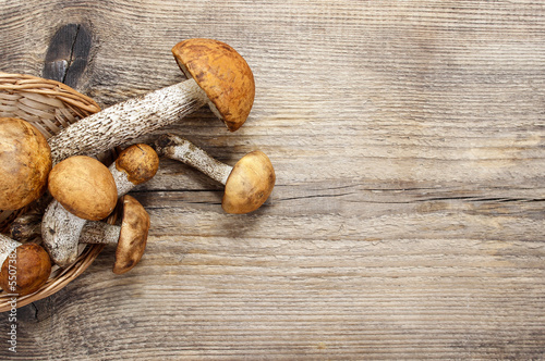 Leccinum mushrooms (aspen mushrooms) on wooden background. Blank