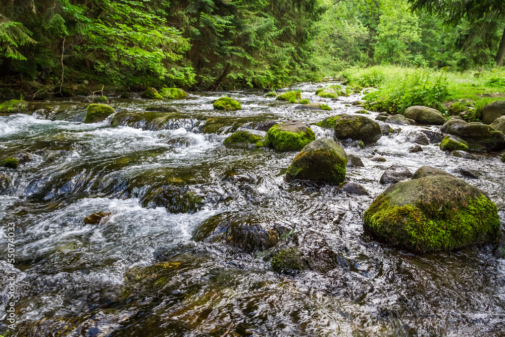 Mountain stream flowing between mossy stones Mountain stream flowing between mossy stones