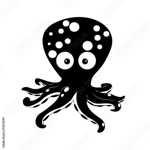 octopus