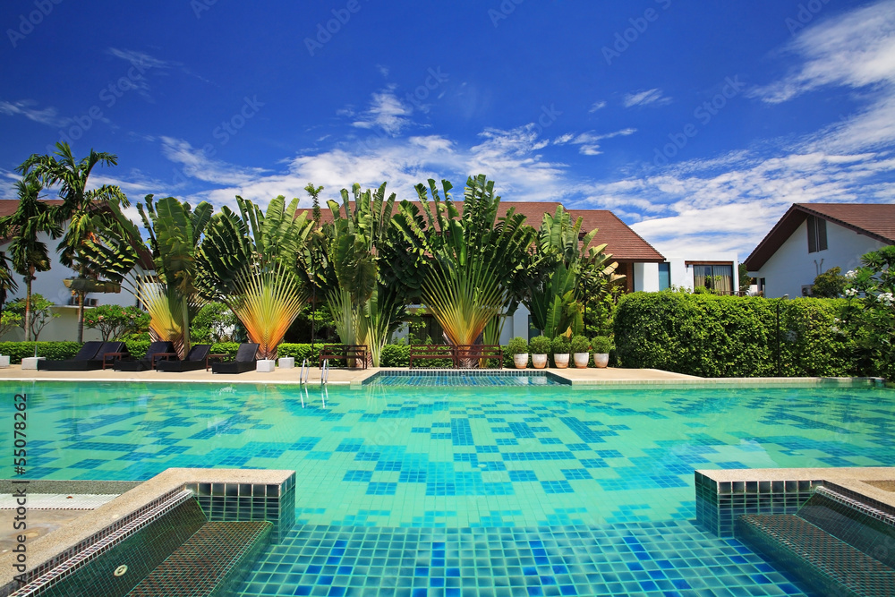Luxury blue swimming pool in tropical garden