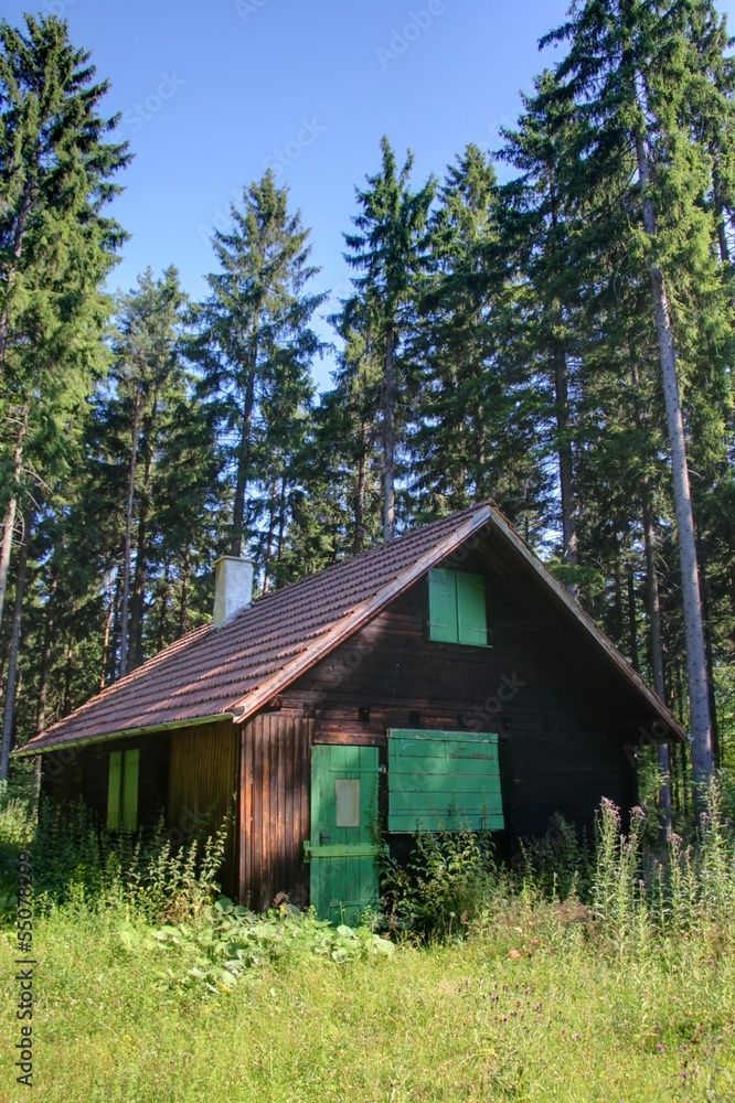 Fototapeta premium Foret noire en Allemagne 