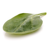 Spinach vegetables   cutout