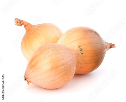 Wallpaper Mural Onion Torontodigital.ca