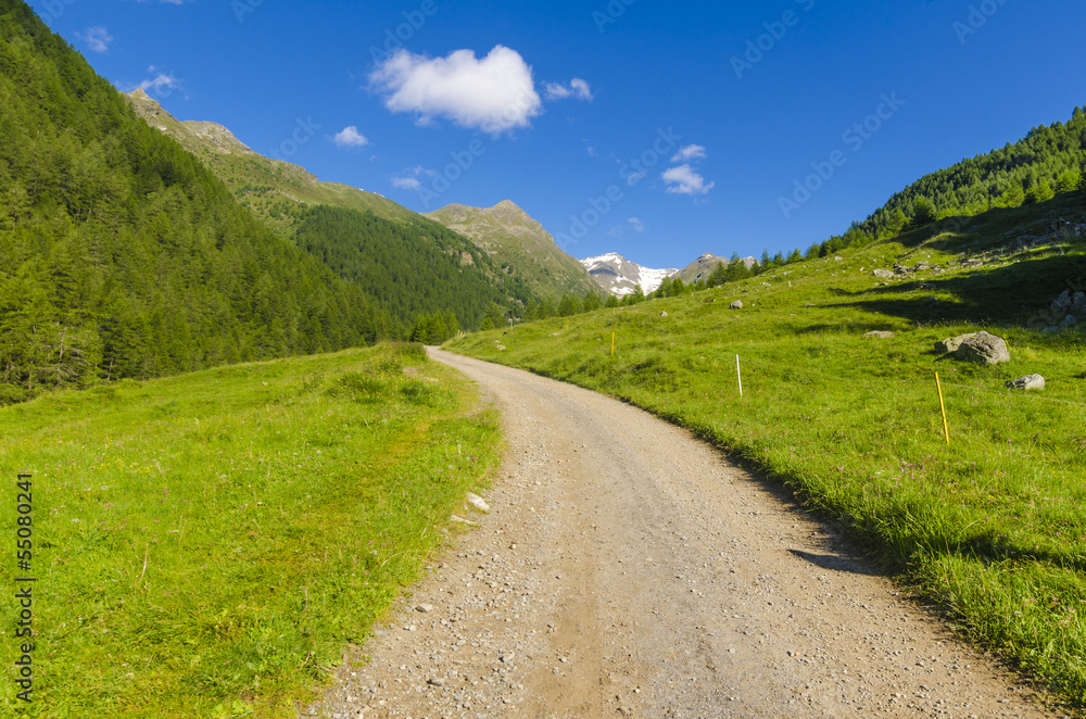 The road in the Alps mountains Italy summer
