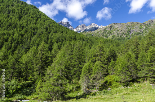 Summer Alpine landscape. Northern Italy