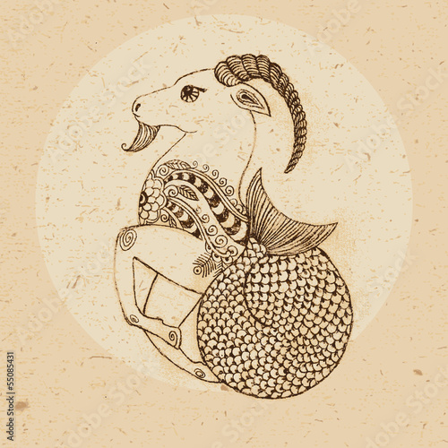 Zodiac sign - Capricorn