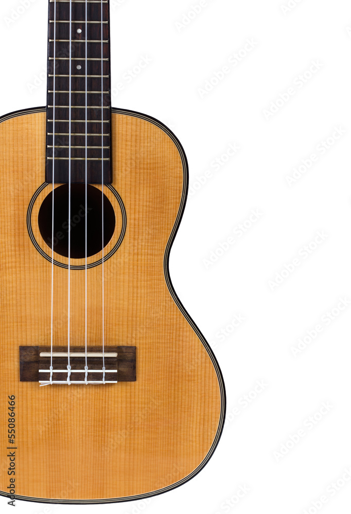 Fototapeta premium Ukulele hawaiian guitar